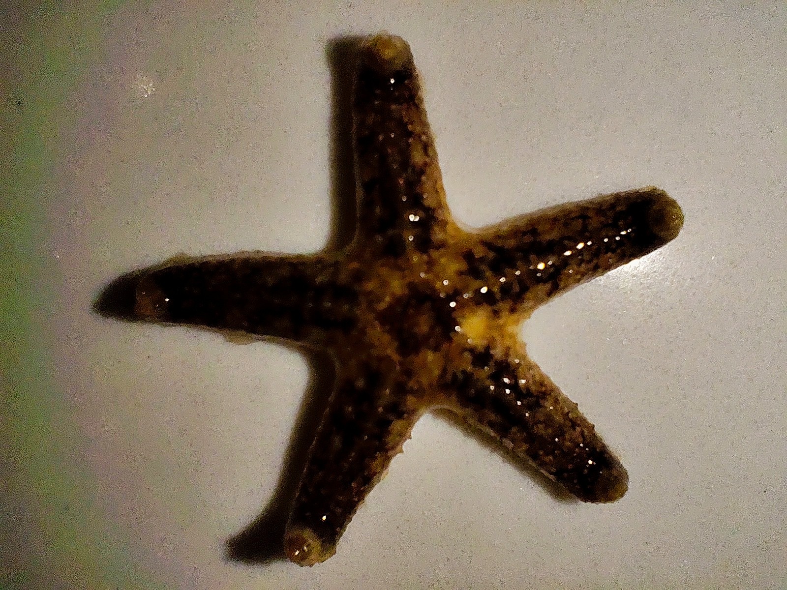 说说：#1717427423