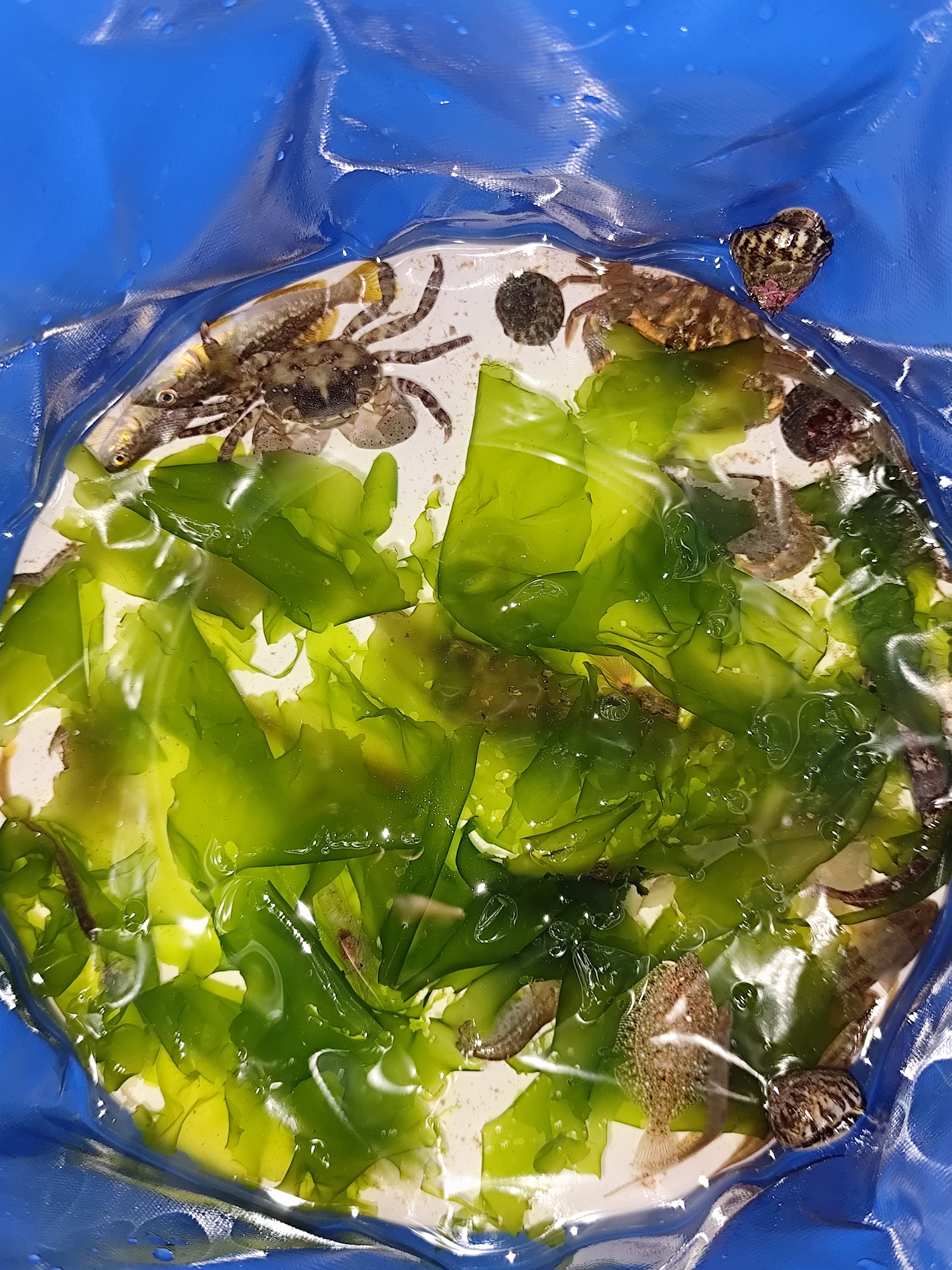 说说：#1717427423