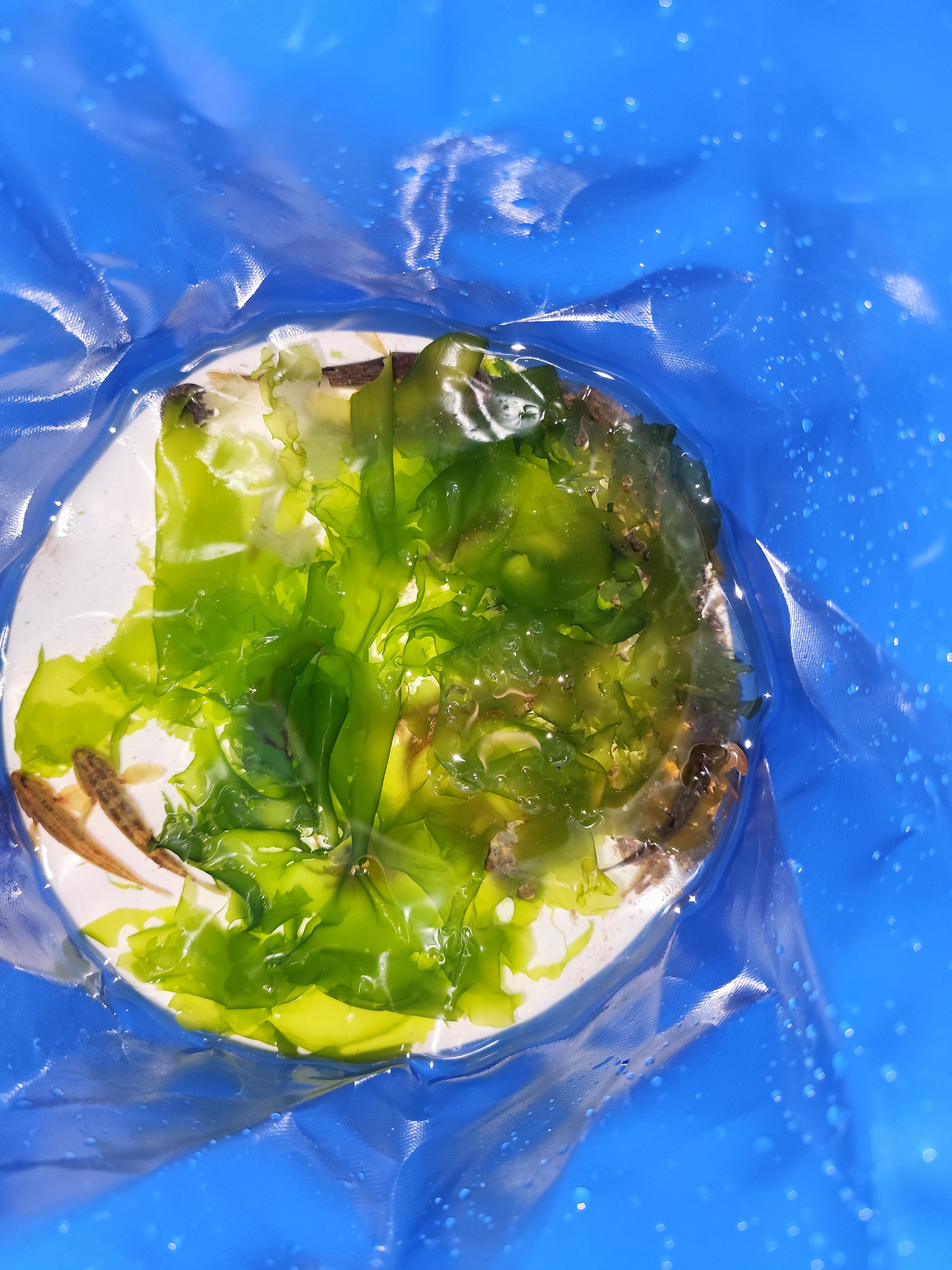 说说：#1717427423